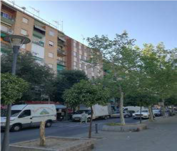 CALLE.png